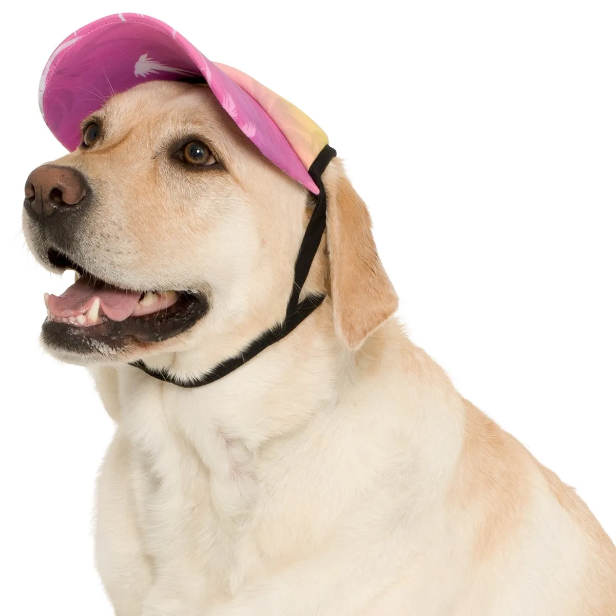 Dog Visor - Palm Tree Pink